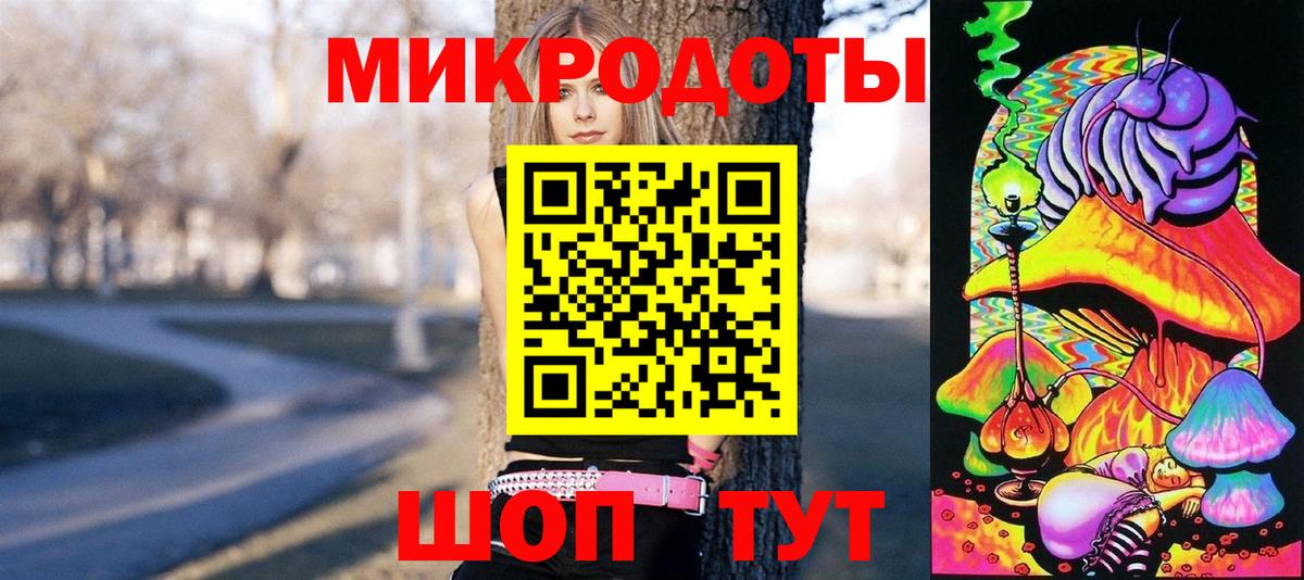 Елабуга  Псилоцибиновые грибы Psilocybe  Вход с VPN 